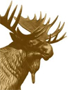 Moose International