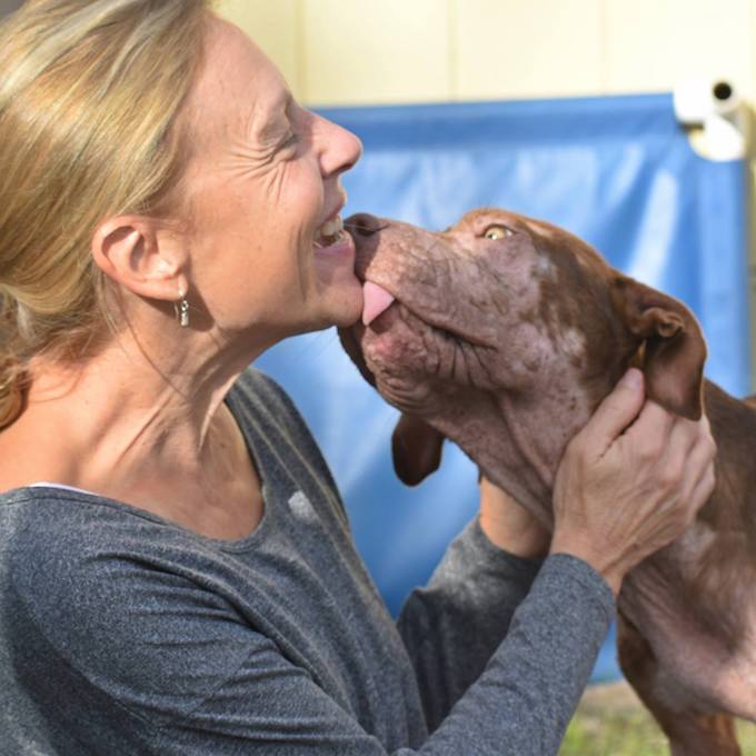 Rescue dog and rescuer at Dogwood Animal Rescue Project